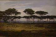 Alexandre N. Roussoff Les pins de Pledeliac France oil painting artist